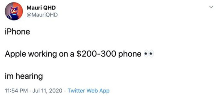 Leaker MauriQHD tiết lộ rằng anh vừa nghe được thông tin Apple đang phát triển một mẫu iPhone giá rẻ khác. (Ảnh chụp màn hình)