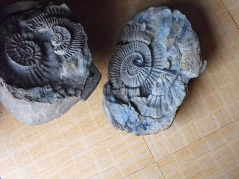 Tay Nguyen tung la bien do moi phat hien hoa thach o Gia Lai