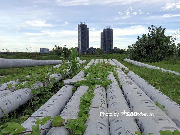Tuy nhiên, màu ảnh của Realme C11 đưa ra chưa thực sự tốt thậm chí có thể nói là... nhạt.