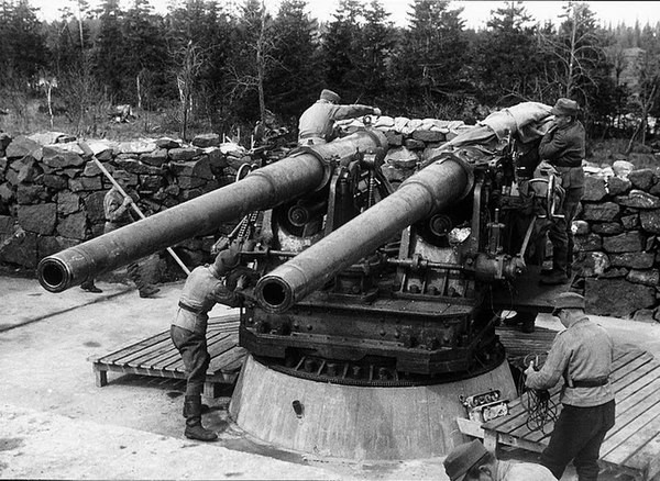 Hàng chục khẩu đội đã được dựng lên với sự hỗ trợ của pháo hạm. Các thủy thủ Hạm đội Baltic đã lắp đặt các đội pháo và pháo hải quân 130mm được tháo ra từ chiến hạm Rạng Đông. Vị trí kiên cố trên sông Neva cũng được xây dựng xong. Các đội pháo chiến hạm đi tiên phong để bảo vệ Leningrad trong suốt thời gian phòng thủ thành phố.