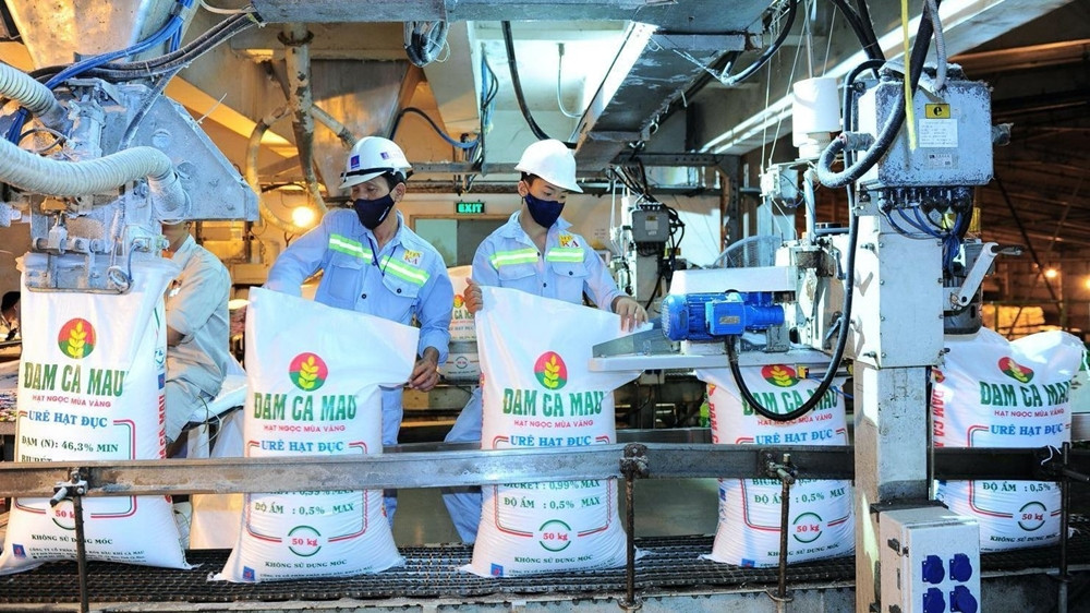 Nhan vien thu nhap hon 55 trieu/thang, Dam Ca Mau lam an sao?