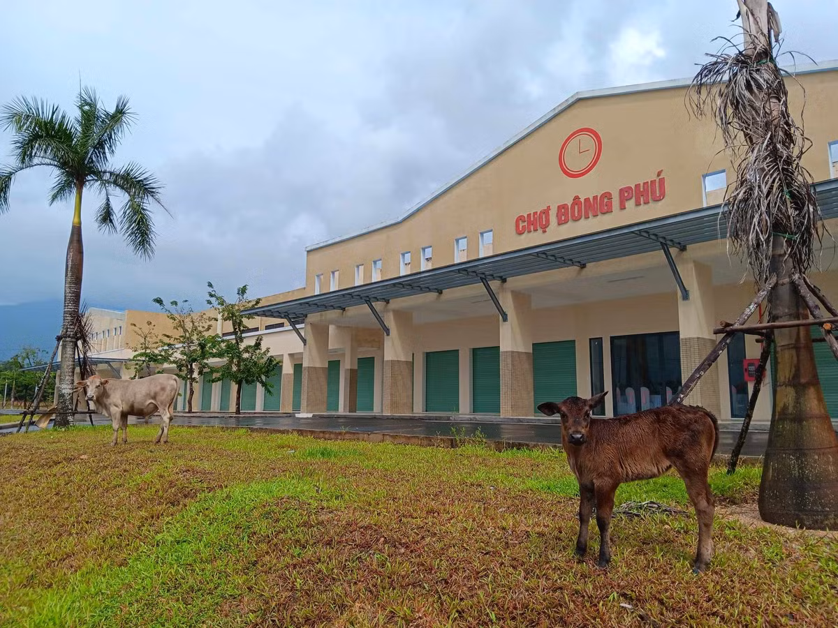 Vi sao thanh tra 5 du an bat dong san o Quang Nam?