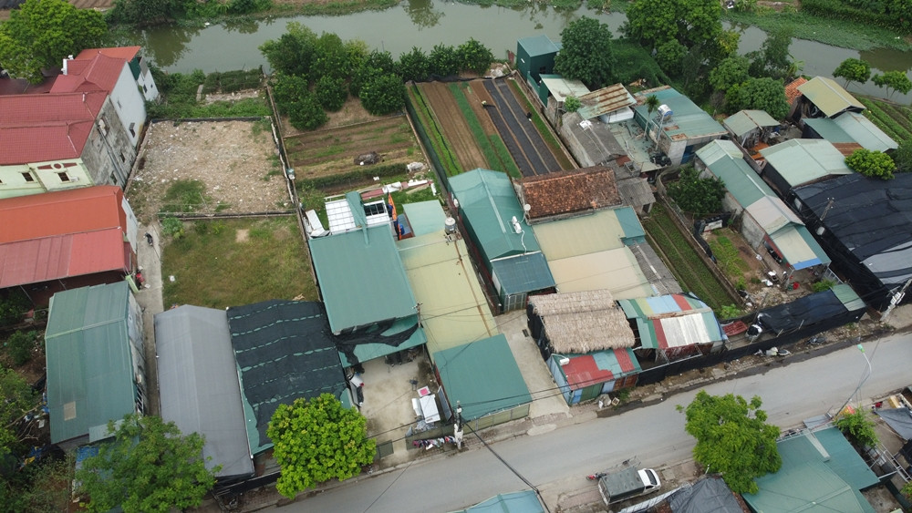 Xay dung tren dat nong nghiep Tay Tuu: Cu chua xu, moi da “moc” len?