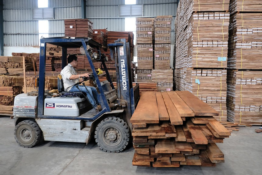 Thanh vien HDQT be boi danh bac, cong ty Phu Tai lam an sao?