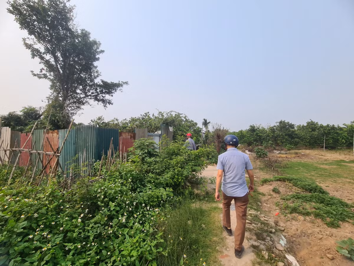 Ha Noi: Xay dung trai phep tren dat nong nghiep o Phu Dien-Hinh-6