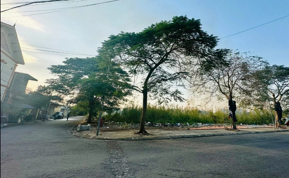 Biet gi Cty Mai Thanh An bi thu hoi hon 10.000m2 du an?-Hinh-2