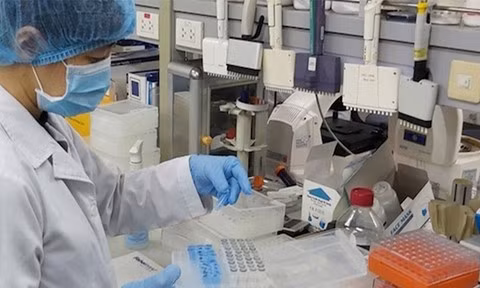 Phó Giám đốc Trung tâm Kiểm soát bệnh tật (CDC) Hà Nội Khổng Minh Tuấn cũng cho biết, đang chờ kết quả xét nghiệm một trường hợp ho, sốt sau khi đi du lịch từ Đà Nẵng về, có biểu hiện ho, sốt và vào thẳng Bệnh viện Nhiệt đới T.Ư thăm khám.