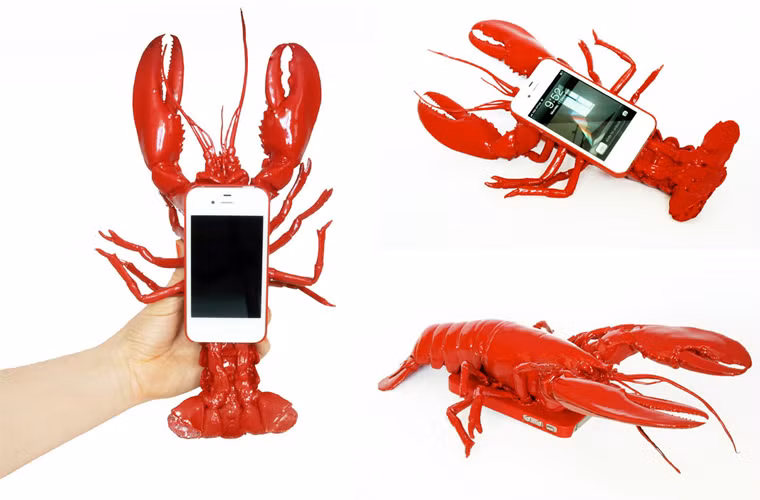 Thật là bá đạo khi ai đó đưa con tôm hùm này lên tai và nói chuyện!