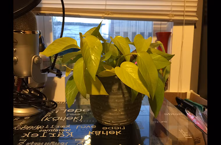  iPhone 6 Plus - trong nhà, ánh sáng tự nhiên thấp (quý độc giả có thể bấm lên đây để xem kích cỡ lớn)