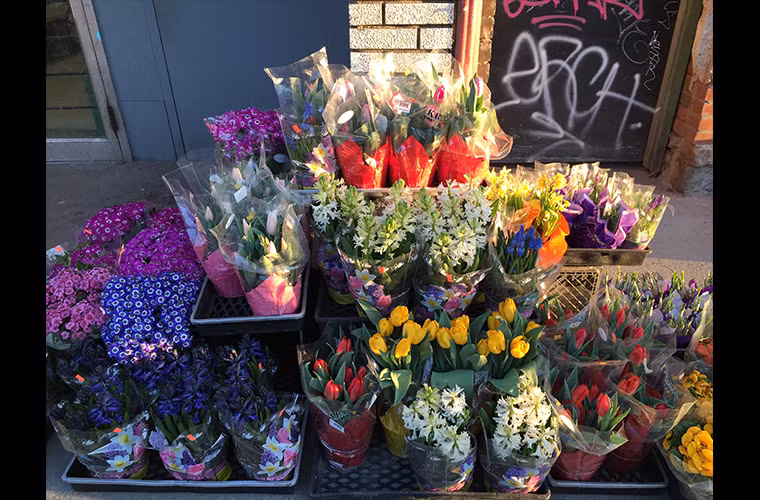  iPhone 6 Plus - ngoài trời ban ngày (quý độc giả có thể bấm lên đây để xem kích cỡ lớn)