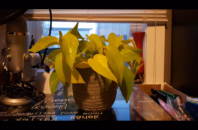  Galaxy S6 - trong nhà, ánh sáng tự nhiên thấp (quý độc giả có thể bấm lên đây để xem kích cỡ lớn)