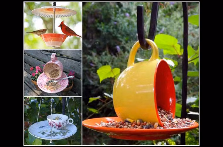 Đồ đựng thức ăn cho chim từ tách uống trà, cà phê.