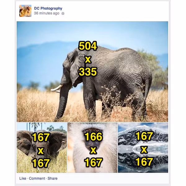 Cac kich co anh ly tuong tren Facebook-Hinh-17