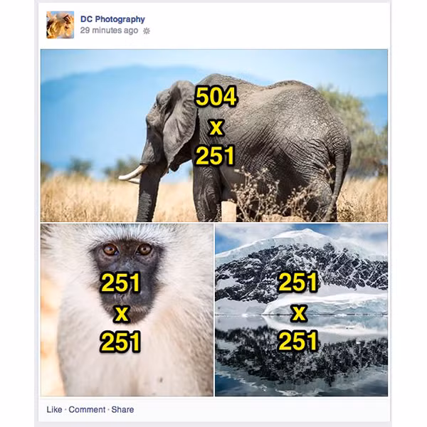 Cac kich co anh ly tuong tren Facebook-Hinh-14