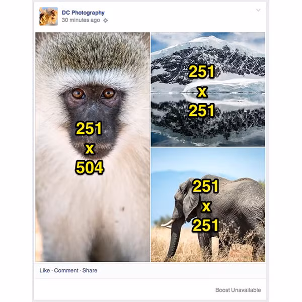 Cac kich co anh ly tuong tren Facebook-Hinh-15