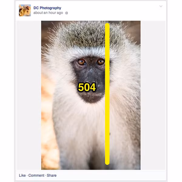 Cac kich co anh ly tuong tren Facebook-Hinh-9