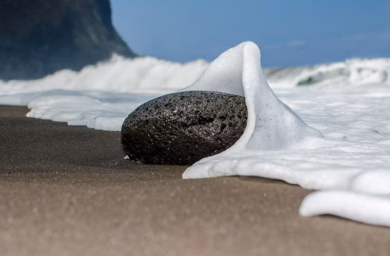 Viên sỏi trở thành món mồi ngon cho một lớp bọt sóng biển.