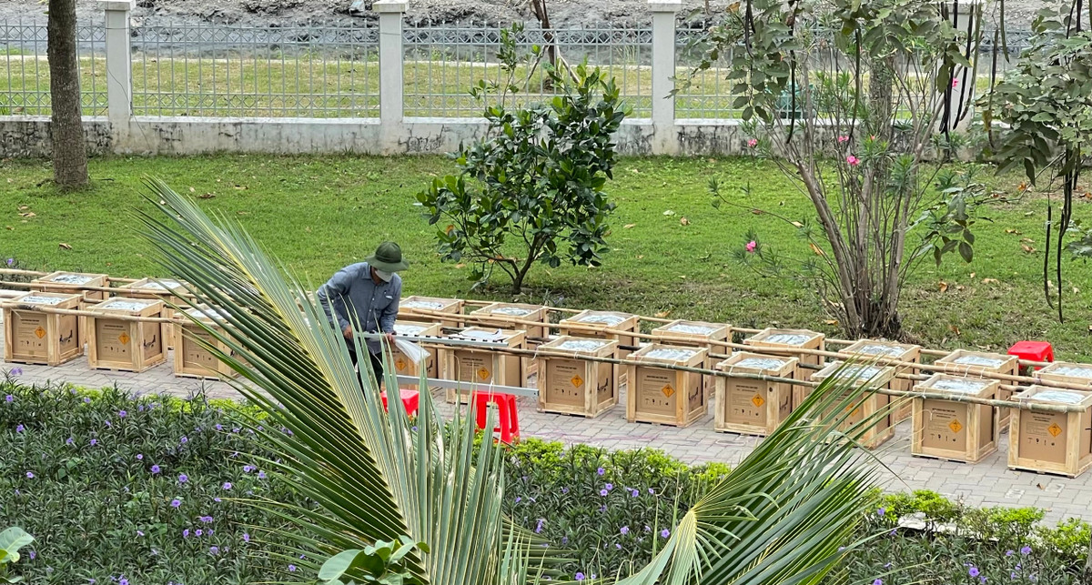 Đây là lần đầu tiên người dân 3 quận 2, 9, Thủ Đức được chứng kiến pháo hoa đón mừng năm mới 2021ngay tại TP Thủ Đức vừa được chính thức thành lập.