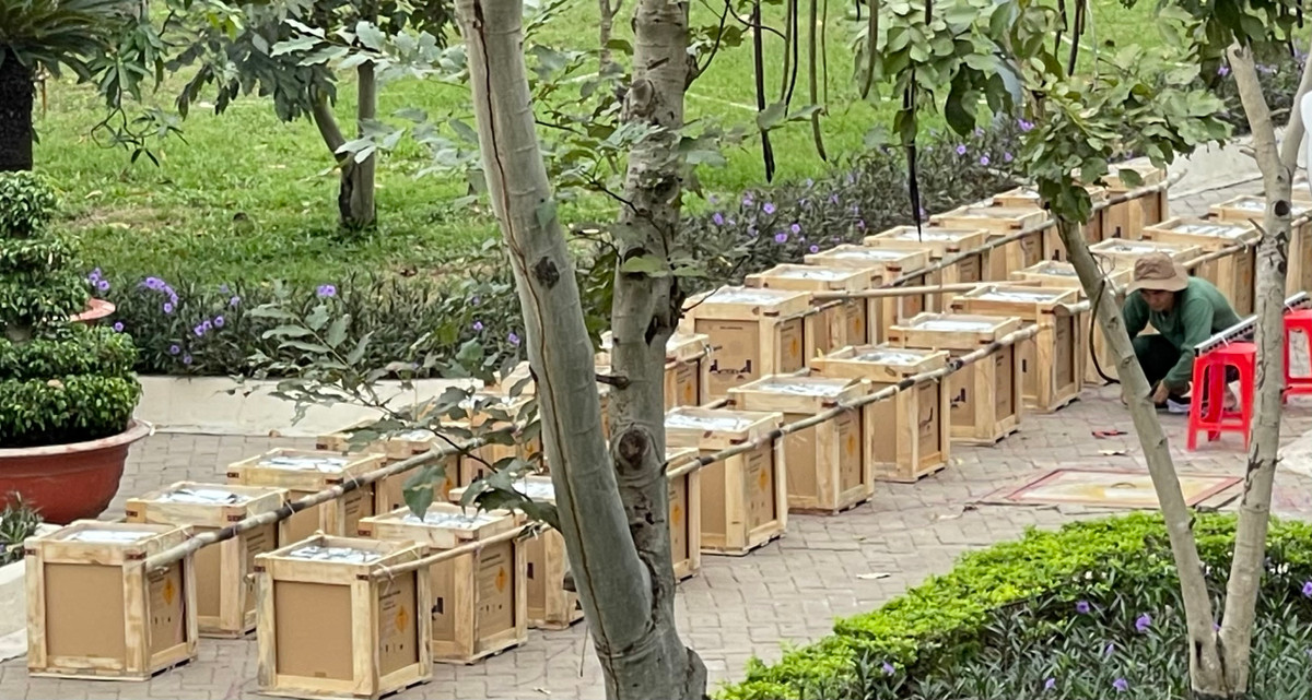 Ngoài 3 điểm bắn pháo hoa (2 điểm tại đường hầm vượt sông Sài Gòn và công viên bờ sông khu toà nhà Landmark 81; 1 tầm thấp tại công viên văn hoá Đầm Sen), TP còn tổ chức điểm bắn pháo hoa tầm thấp tại Khu công nghệ cao (quận 9).