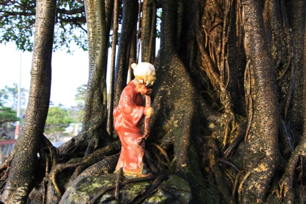 Tuyet pham sanh co 'Nhat toa kinh thien': Tra 11 ty, chu van lac dau-Hinh-4