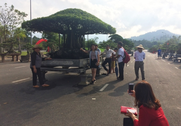 Tuyet pham sanh co 'Nhat toa kinh thien': Tra 11 ty, chu van lac dau-Hinh-8