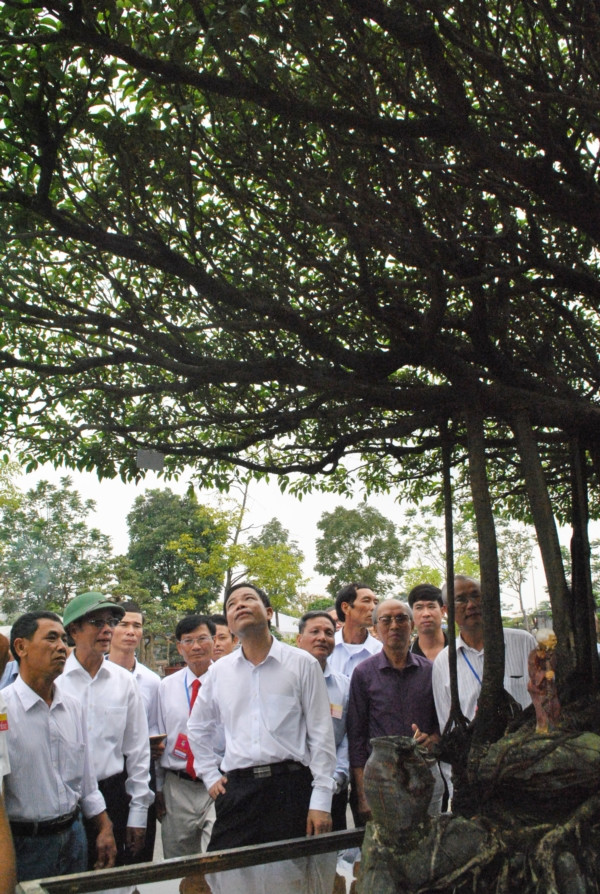 Tuyet pham sanh co 'Nhat toa kinh thien': Tra 11 ty, chu van lac dau-Hinh-5