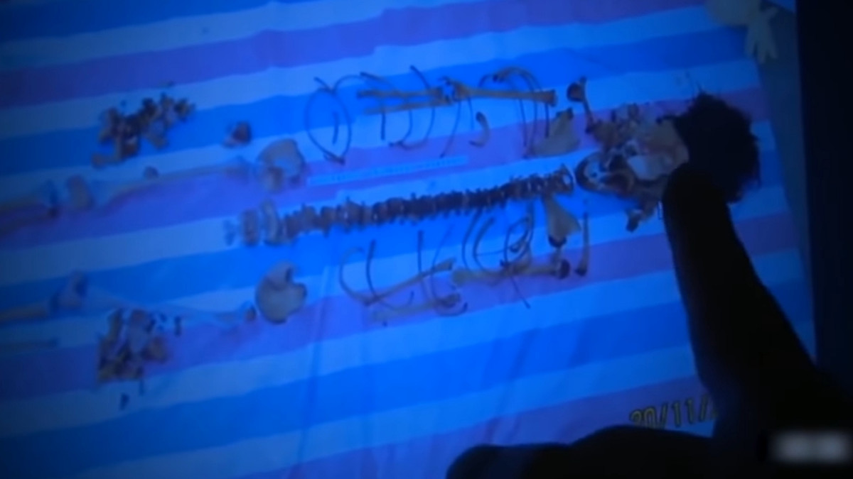 Cơ quan tiếp tục tìm thấy một vài khúc xương trồi ra và có mảnh vải quần, áo của nạn nhân. Tại hiện trường, công an cũng phát hiện 3 viên gạch vỡ, nghi đây là hung khí gây án mạng của đối tượng. 