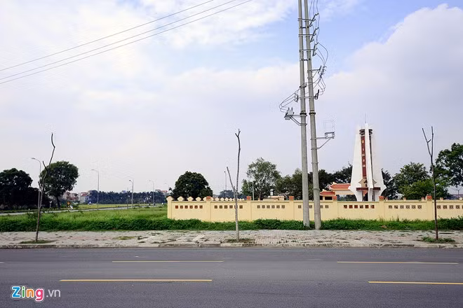 Lát, sấu... trơ như củi khô dọc tuyến đường.