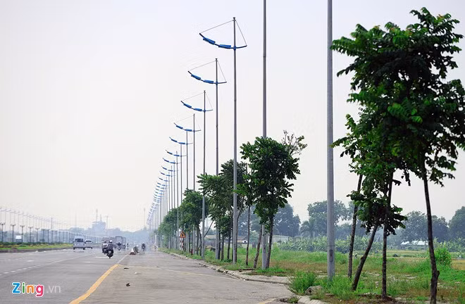 "Khi nào cây sống thì chúng tôi mới nghiệm thu. Trong vòng một năm bảo hành cây tự chết thì nhà thầu phải tự bỏ tiền khắc phục", đại diện chủ đầu tư nói. 