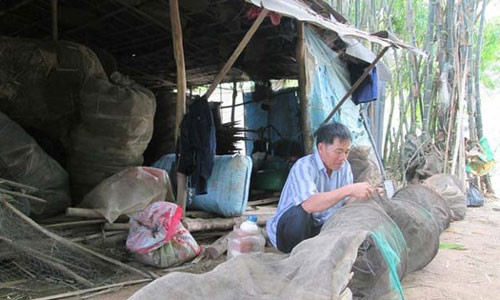 Lo sot vo vi lu chua chiu ve!