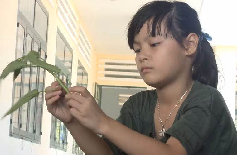 Bo và bố Phan Anh chịu trách nhiệm nhặt và rửa rau. Cả bốn cặp bố con đều được khen ngợi vì hoàn thành tốt nhiệm vụ.