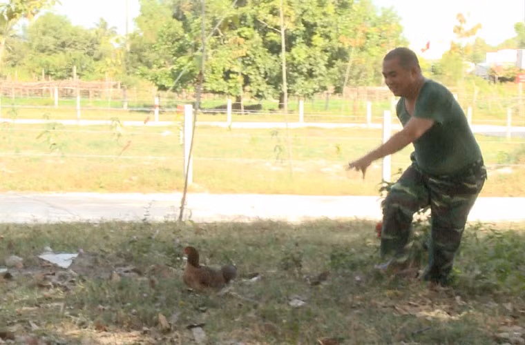 Nhạc sĩ Minh Khang và con gái Suti nhận nhiệm vụ bắt gà. Sau khi bắt được 2 chú gà trống, vị nhạc sĩ bất lực khi được giao bắt thêm 3 chú gà mái.
