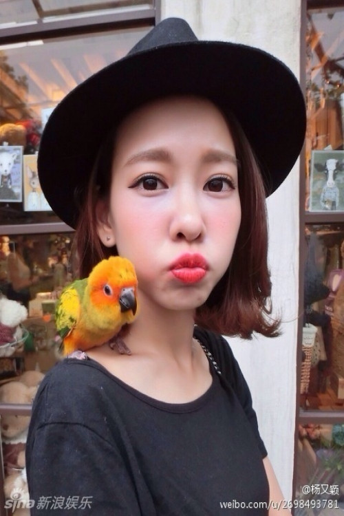 Một vài ngày trước khi tự vẫn, chân dài 24 tuổi vẫn hoạt động trên trang cá nhân nên không ai ngờ cô gái trẻ lại có quyết định dại dột như vậy. 