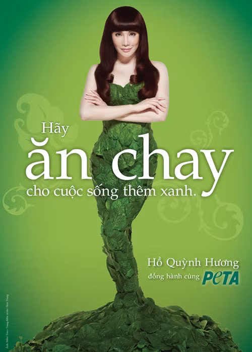 Ho Quynh Huong dien vay doc lam bang rau xanh