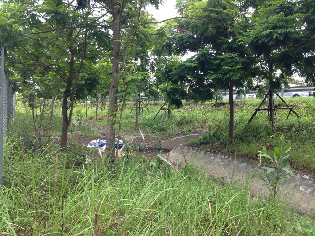 Phat hien 1 thi the boc mui hoi thoi, dang phan ra