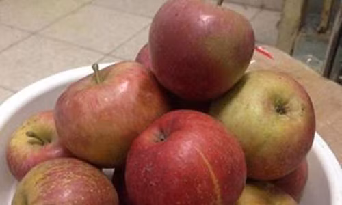 “Dac san Viet” goc Tau: Cu lua thap ky, ta tu hai minh-Hinh-2