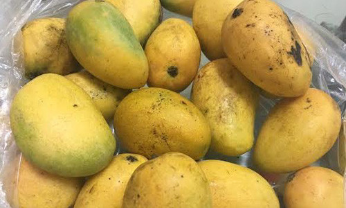 “Dac san Viet” goc Tau: Cu lua thap ky, ta tu hai minh