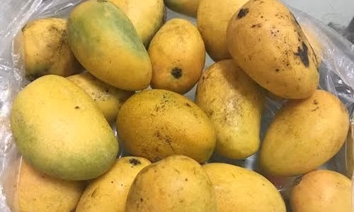 “Dac san Viet” goc Tau: Cu lua thap ky, ta tu hai minh