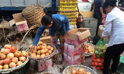 “Dac san Viet” goc Tau: Cu lua thap ky, ta tu hai minh-Hinh-3