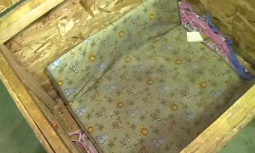 Bo me bat con gai 3 tuoi ngu trong hop day gian chet-Hinh-2