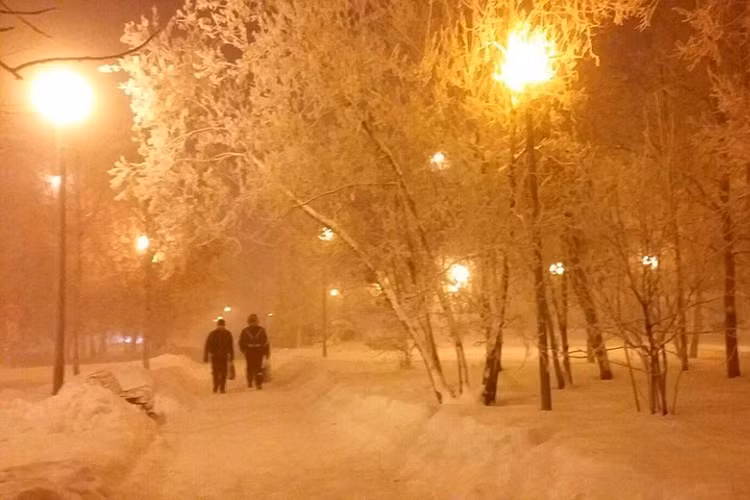 Rau toc dong bang trong cai lanh -62 do C o Nga-Hinh-8