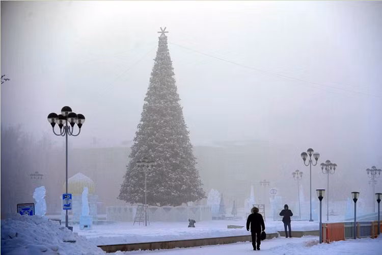 Rau toc dong bang trong cai lanh -62 do C o Nga-Hinh-9