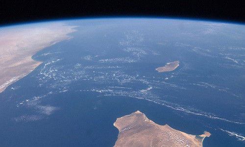 Kinh ngac sinh vat quai di o hon dao biet lap voi the gioi-Hinh-2