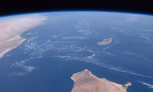 Kinh ngac sinh vat quai di o hon dao biet lap voi the gioi-Hinh-2