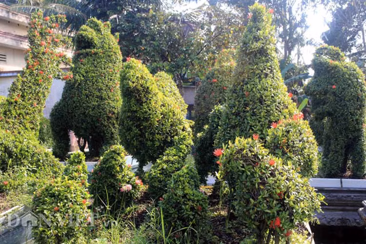 Kieng ga quy hiem gia hang tram trieu dong moi cap-Hinh-3