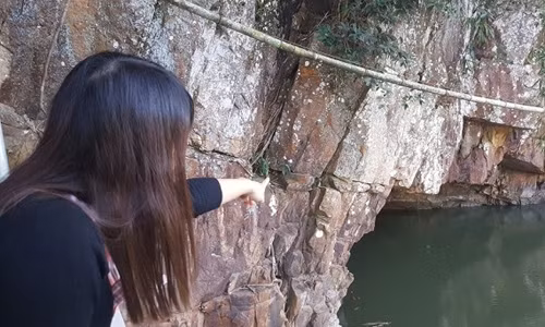 Giai ma chuyen ran khong lo o Quang Ninh-Hinh-4