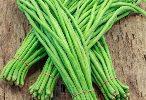 Loai rau nen chan de loai bo doc to, an truc tiep cuc doc-Hinh-3