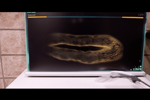 Ngu voi tran cung, co gai rung roi suyt thanh 