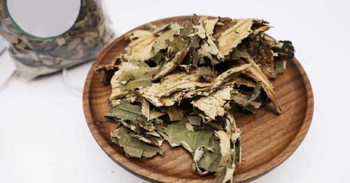 Một lý do khác khiến trà lá sen được mệnh danh “vua hút mỡ” là bởi chứa nhiều taurine. Ở đó, taurine là loại axit amin có khả năng giúp cơ thể đốt cháy chất béo.