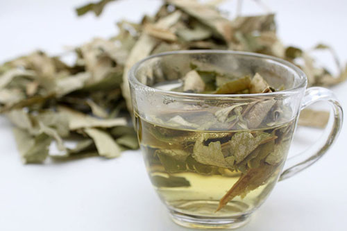 Trà lá sen có thể uống nóng hoặc lạnh tùy vào sở thích. Tuy nhiên, trà lá sen chỉ mang lại tác dụng hỗ trợ giảm cân ở lần hãm đầu, những lần sau gần như không có tác dụng. Để nhận được tác dụng hỗ trợ giảm cân, bạn có thể hãm 1-2 lá sen mỗi ngày, mỗi lần 1 lá, uống 1 tách trước khi đi ngủ.